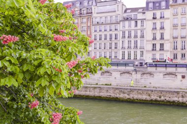 Fransa'da mimarlık. Paris'in eski merkezinin sokakları. 