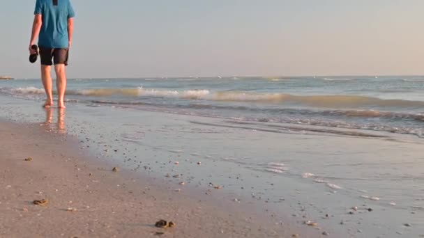 海边的黎明阳光和天际线 太阳的晨光 帧中的选择性对焦 — 图库视频影像
