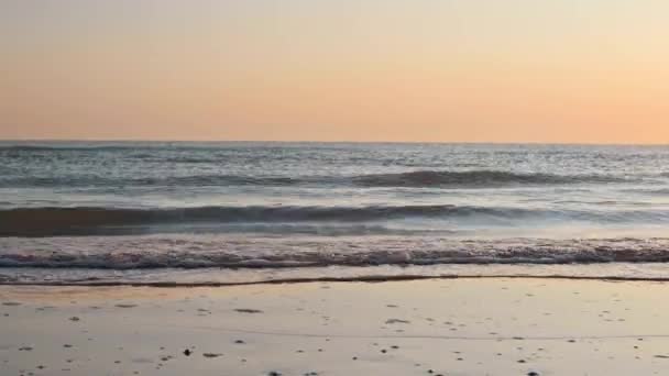浜辺の砂浜の貝殻 海岸の海の波の中の太陽の光 スカイライン フレーム内の選択的なフォーカス — ストック動画