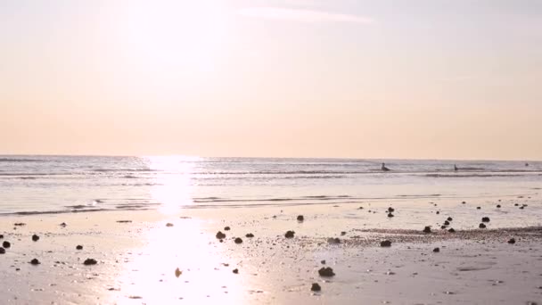 Seashells Sand Beach Sunlight Sea Waves Shore Skyline Selective Focus — Stock Video