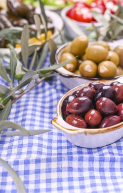 Geleneksel mezeler, Yunan mutfağından yeşil ve kırmızı zeytinler. Taze zeytin dalları. Uzayı kopyala Mavi kareli masa örtüsü.