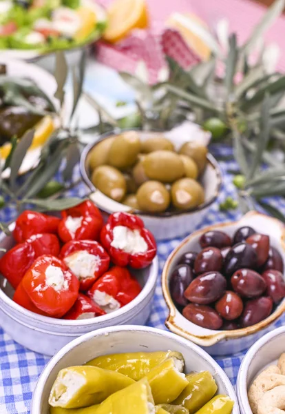 Geleneksel mezeler, Yunan mutfağından yeşil ve kırmızı zeytinler. Taze zeytin dalları. Uzayı kopyala Mavi kareli masa örtüsü.