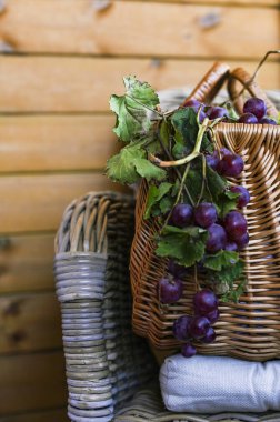 Sepetteki Üzümler. Bir kır evinde. Ev yapımı şarap için seçilmiş üzüm koleksiyonu. Ekolojik ürünler