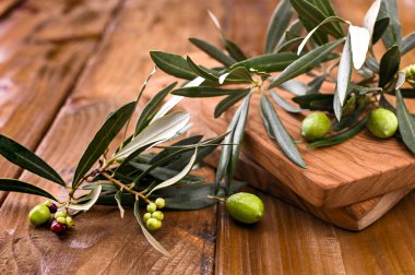 Zeytin dalları ve meyveler ahşap bir arka planda yakın plan zeytin. Boşluğu kopyala