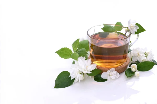Yasemin çayı. Sağlık ve canlılık için Çin 'de geleneksel bir içecek. Doğu tıbbı. Beyaz arka planda taze yasemin çiçekleri ve bir fincan çay. — Stok fotoğraf