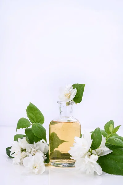 Жасминовое масло. Ароматерапия и массажный продукт, альтернативная медицина. Цветы и бутылка с маслом на белом фоне. — стоковое фото