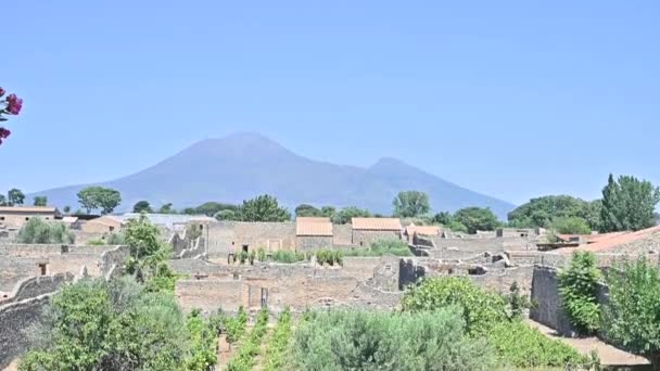 Vezüv Dağı yamacında Pompei 'nin üzüm bağları. İtalya 'nın tarihi merkezi. — Stok video