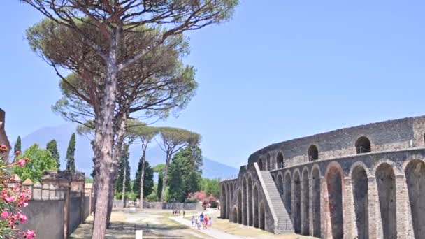 Pompeji. Historisches Erbe, Ruinen und antike Architektur in Italien. Eigentum Europas. — Stockvideo
