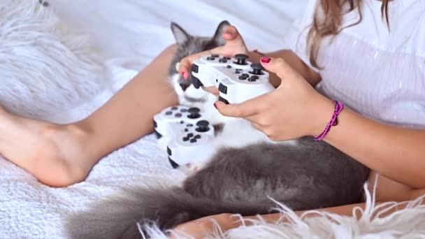 Una niña está jugando una consola de ordenador en un sofá en una habitación luminosa. Juegos simultáneos para niños. Joystick para control en las manos. Niño alegre y un gato. Copiar espacio. Imágenes de alta calidad 4k — Vídeos de Stock