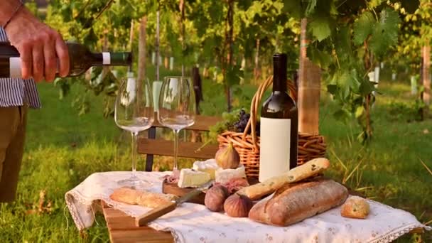 Hermosas personas teniendo un almuerzo romántico con mucha comida sabrosa y vino, sentados juntos en la manta de picnic en el viñedo en un día soleado — Vídeo de stock