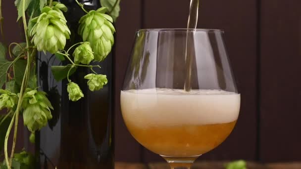 Birra. Cold Craft birra leggera in un bicchiere con gocce d'acqua. Pinta di birra da vicino — Video Stock