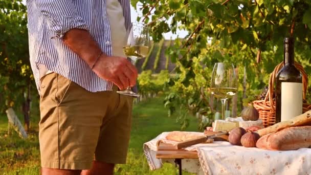 Vackra människor som har romantisk lunch med massor av god mat och vin, sitter tillsammans på picknickfilten på vingården på en solig dag — Stockvideo