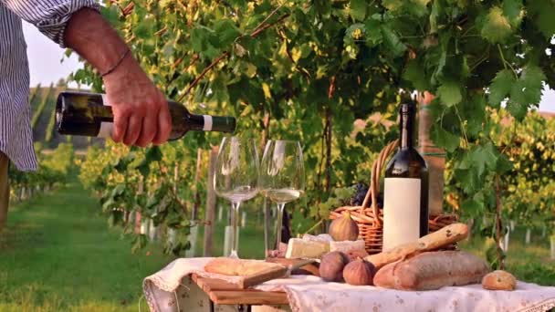 Mooie mensen die romantisch lunchen met veel lekker eten en wijn, samen zitten op de picknickdeken bij de wijngaard op een zonnige dag — Stockvideo