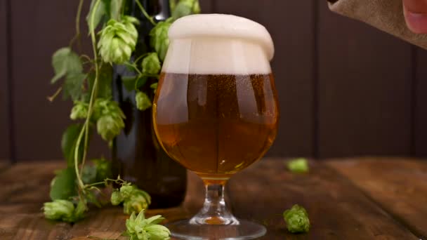 Een biertje. Cold Craft light Bier in een glas met waterdruppels. Bier close-up — Stockvideo