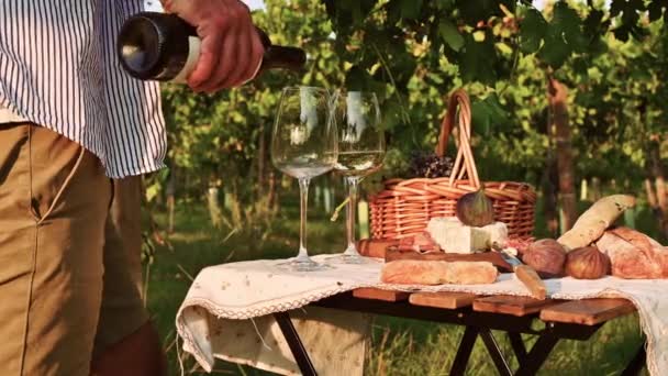 おいしい食べ物とワインがたくさんあるロマンチックなランチをしている美しい人々は、晴れた日にブドウ園のピクニックブランケットに一緒に座っています — ストック動画