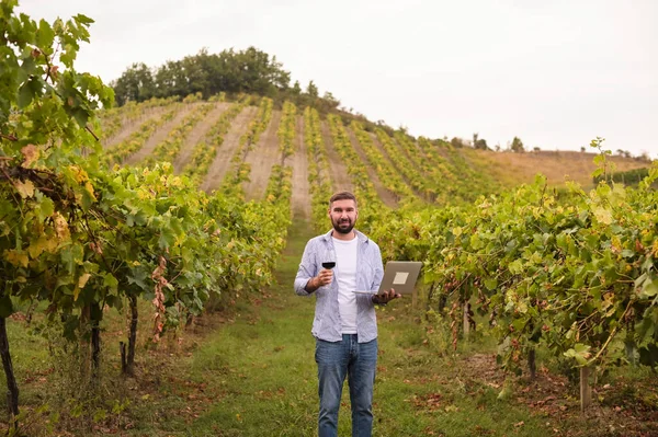 Muž s laptopem a sklenicí červeného vína na vinici na farmě. Osoba má vinařský byznys v Itálii. — Stock fotografie