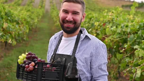 Hombre con una copa de vino y una caja de uvas en los viñedos. Un hombre de negocios está haciendo la cosecha en una granja en Italia. Filmación en áreas abiertas en las colinas. — Vídeo de stock