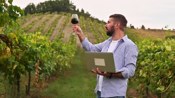 Zakenman met laptop in een wijngaard op een boerderij in de heuvels. Persona heeft een wijnbedrijf in Italië.. — Stockvideo