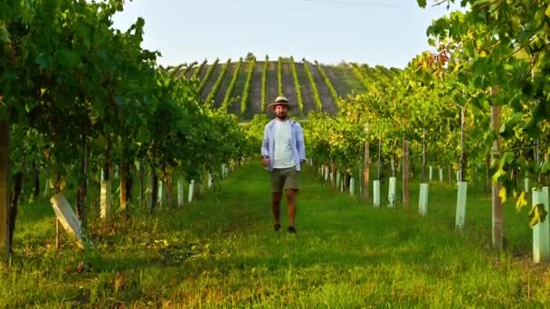 En person med et glass vin på vingårdene i Italia, Emilia Romagna-regionen. Ung mann i hatt med vinglass – stockvideo