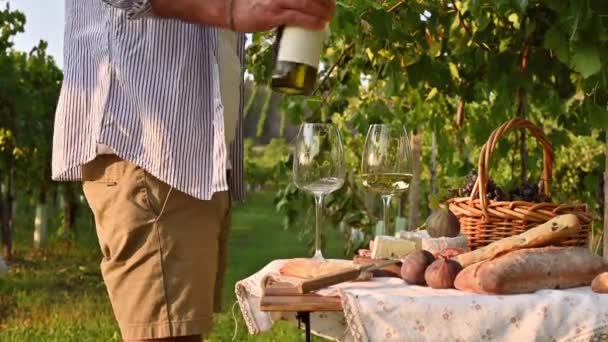 Beautiful people having romantic lunch with lots of tasty food and wine, sitting together on the picnic blanket at the vineyard on a sunny day — Stock Video