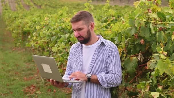 Επιχειρηματίας με φορητό υπολογιστή σε αμπελώνα σε μια φάρμα στους λόφους. Persona έχει μια επιχείρηση κρασιού στην Ιταλία. — Αρχείο Βίντεο