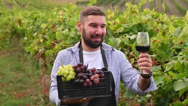 Hombre con una copa de vino y una caja de uvas en los viñedos. Un hombre de negocios está haciendo la cosecha en una granja en Italia. Filmación en áreas abiertas en las colinas. — Vídeo de stock