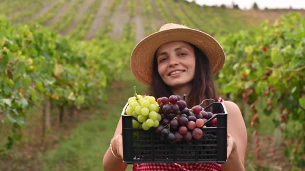 Žena v klobouku drží krabici hroznů na farmě na vinicích. Osoba na farmě v kopcích Itálie při sklizni.