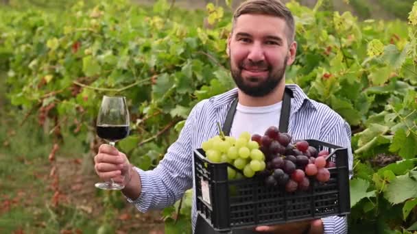 ブドウ畑にワイングラスとブドウの箱を持つ男。ビジネスマンはイタリアの農場で収穫をしている。丘のオープンエリアでの撮影. — ストック動画