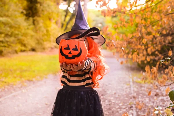 Šťastný Halloween. Holčička v čarodějnickém klobouku a v šatech drží košík na sladkosti. Dítě v podzimním parku. Měkké zaměření na hlavní téma. — Stock fotografie