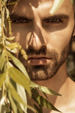 Güçlü yüz erkek model kum ve güneşin sahilde su doğa zemin üzerine