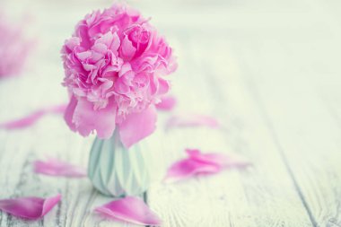 Vazoda beyaz masa arka plan üzerinde güzel soluk pembe peonies buket
