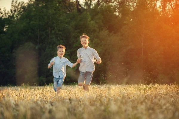 Happy children running around the field with dandalions onsummer sunset