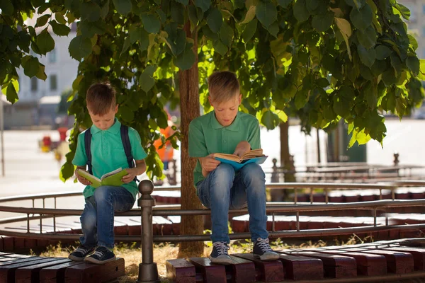 つの学校の子供たちは木の下に座るし 日当たりの良い夏の日に本を読む — ストック写真