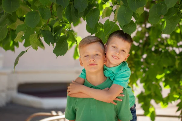 Two Brothers Hugging Summer Day Brotherhood Friendship Concept — Stock Photo, Image