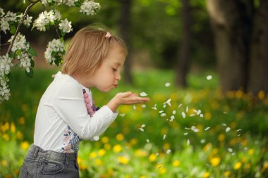 Kız çiçek yaprakları parkta bir yaz gününde üfleme.