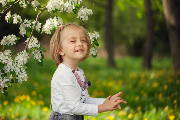 Szép Lány Egy Virágzó Alma Gyümölcsös Napsütéses Tavaszi Napon — Stock Fotó