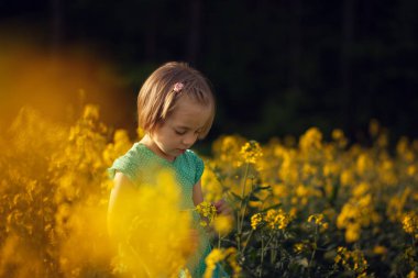 Çocuk yaz çiçek sarı zemin üzerinde toplama. Çocuklar ve doğa