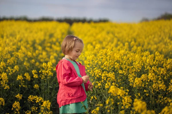 Pretty Little Girl Walking Field Yellow Flowers Sunny Summer Day — Stock Photo, Image