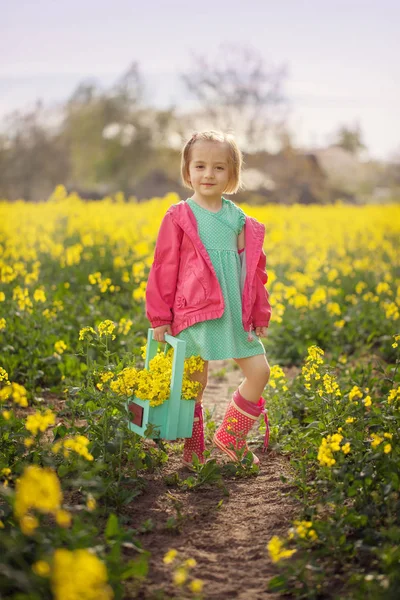 Küçük Kız Bahar Sarı Çayır Ayakta Çocuk Malzeme Çekme Yaz — Stok fotoğraf