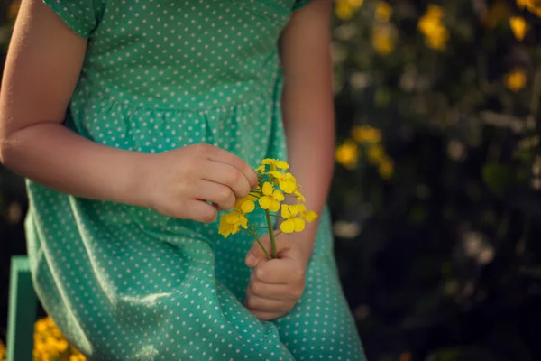 Child Picking Summer Flowers Yellow Field Kids Nature — Stock Photo, Image