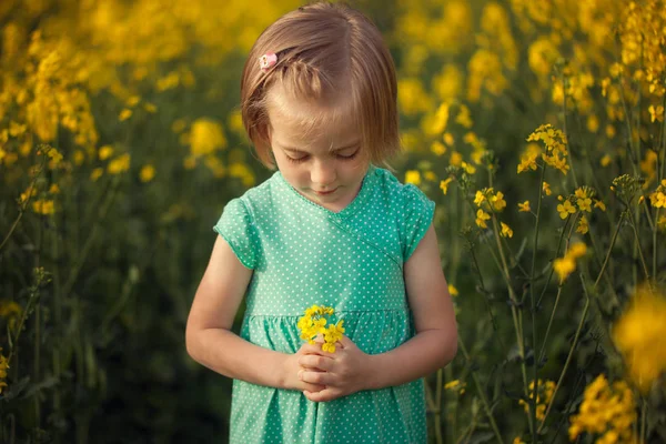 Çocuk Yaz Çiçek Sarı Zemin Üzerinde Toplama Çocuklar Doğa — Stok fotoğraf