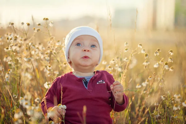 Menino Pequeno Feliz Sentado Tremendo Prado Natureza Verão Dia Ensolarado — Fotografia de Stock