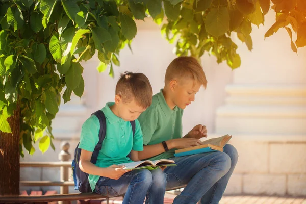Два Школьника Сидят Деревом Читают Книги Теплый Осенний День — стоковое фото