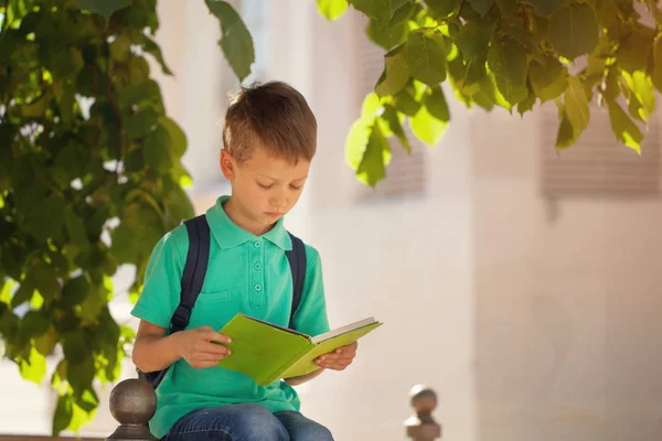 Sød Skoledreng Sidder Træ Læser Bog Solrig Sommerdag - Stock-foto