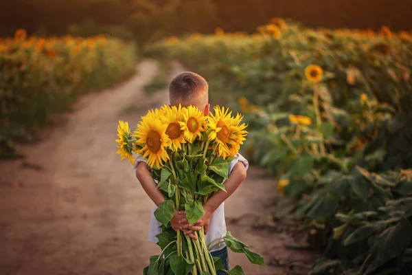 Little Adorable Kid Boy Holding Bouquet Sunflowers Summer Day Child — Stock Photo, Image