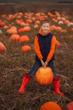 Sevimli çocuk sonbahar seçmek dışarı bir kabak kabak Field