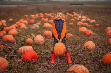 Sevimli çocuk sonbahar seçmek dışarı bir kabak kabak Field