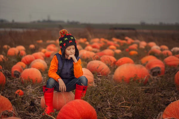 Imádnivaló Gyermek Szórakozik Tök Pumpkinpatch Gazdaságban — Stock Fotó