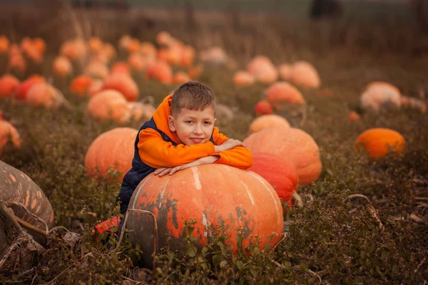 Imádnivaló Gyermek Szórakozik Tök Pumpkinpatch Gazdaságban — Stock Fotó