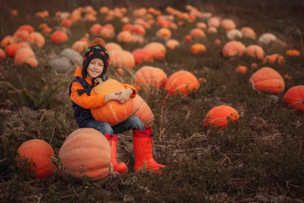 Cute boy picking out a pumpkin at pumpkin field at fall